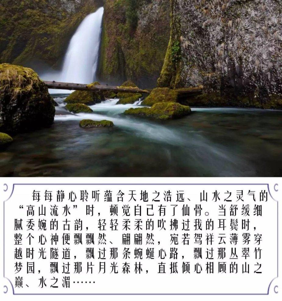 创作猫